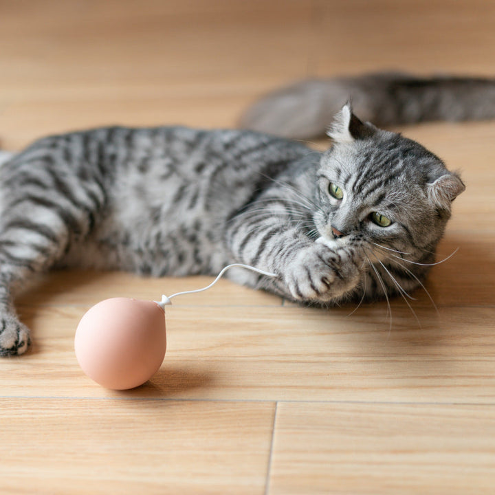 Unleash Endless Fun with the Funny Cat Electric Cat Toy!
