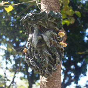 Bring Nature to Your Garden with the Resin Tree Face Bird Feeder