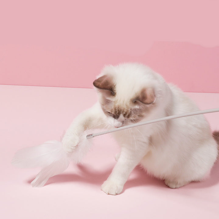 Creativity Feather Funny Cat Toy