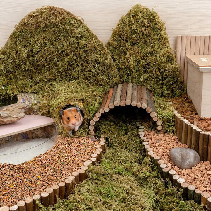 Oak Cork Hamster Cage