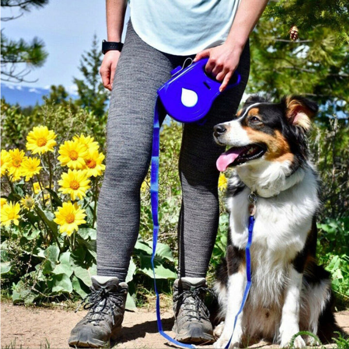 Automatic Portable Dog Leash