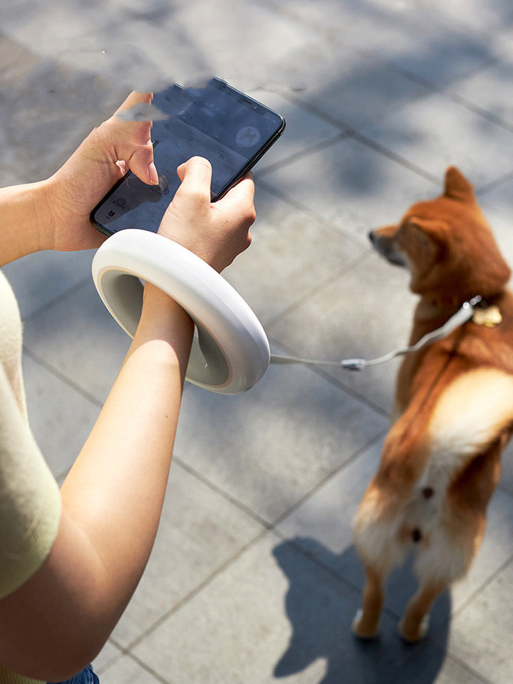 Meng UFO Retractable Leash Dog