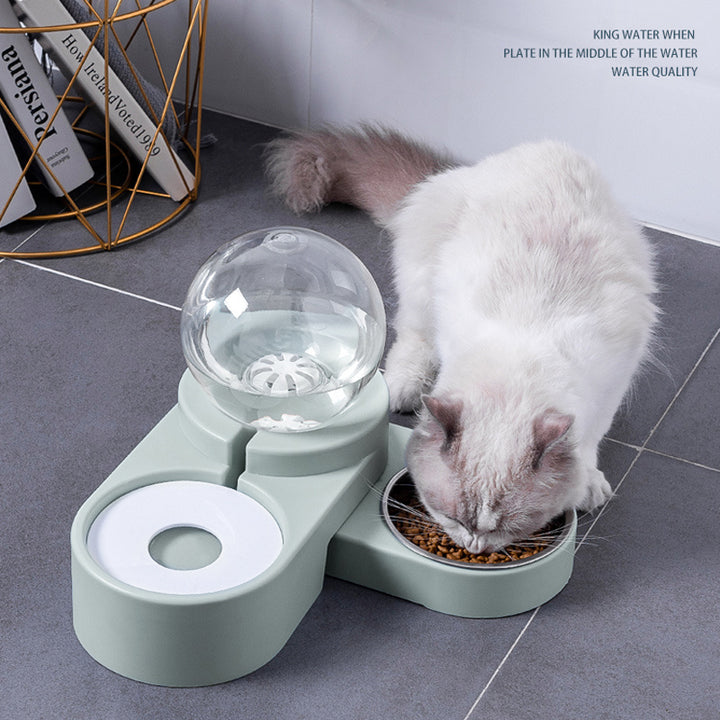 Cat Food Automatic Feeder