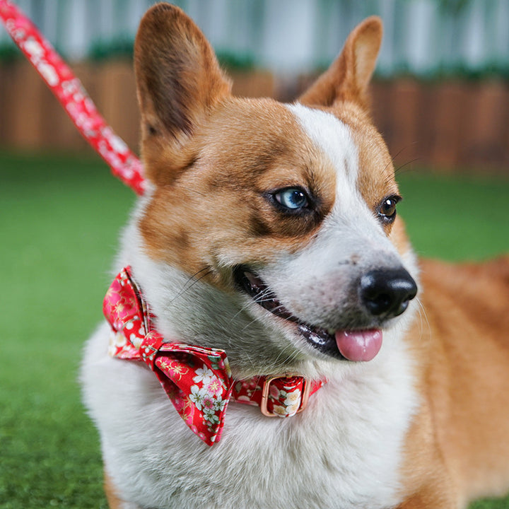 Flower Style Female Dog Leash Set