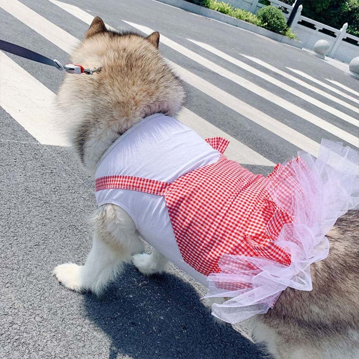 Dress Your Pooch in Style: Labrador Golden Retriever Big Dog Clothes