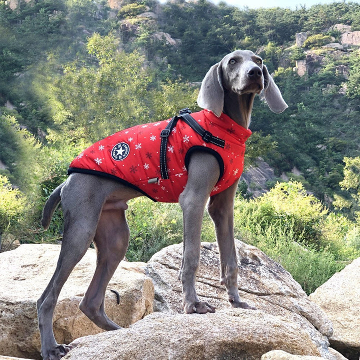 Keep Your Pet Cozy and Safe This Winter with Our New Reflective Cotton-padded Coat!
