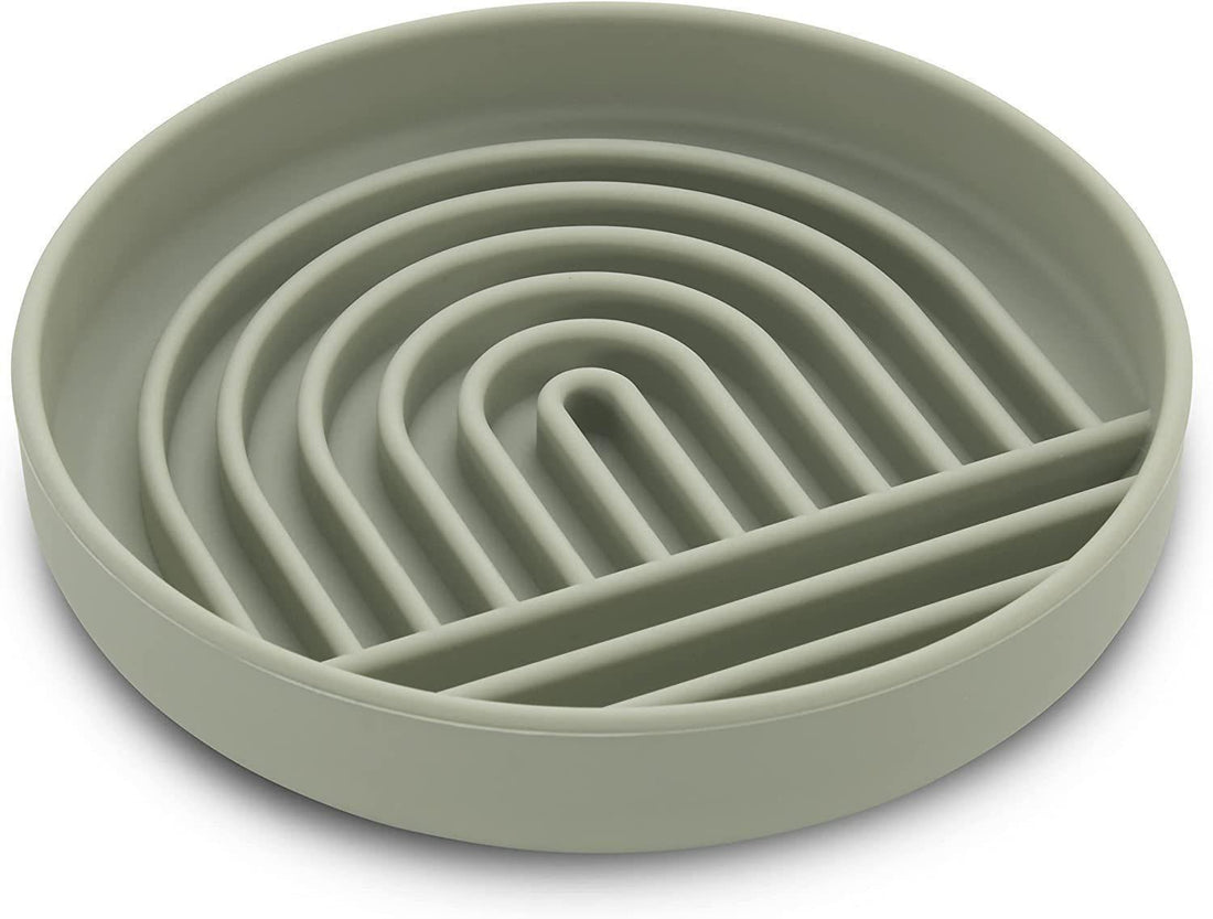Fashion Simple Slow Feeding Bowl