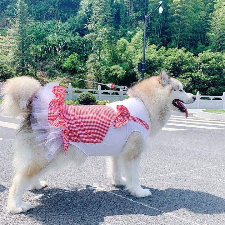 Labrador Golden Retriever Big Dog Clothes