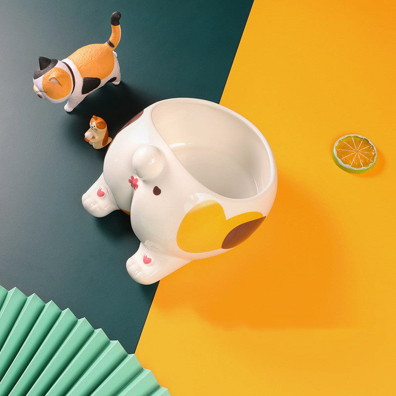 Ceramic Pet Bowl Feeding