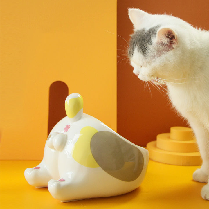 Ceramic Pet Bowl Feeding