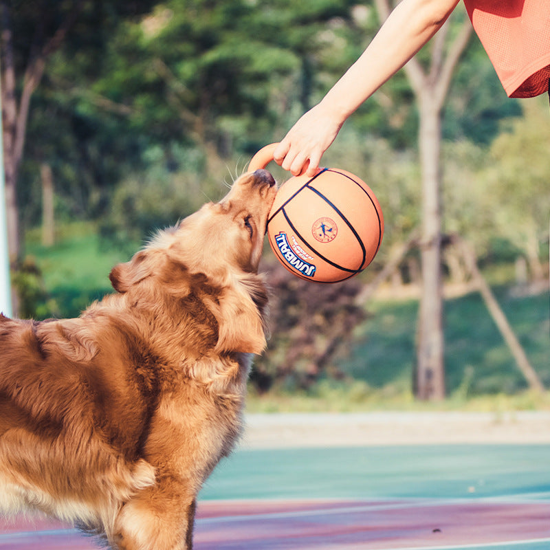 Bite Resistant Pet Toy Ball Puzzle