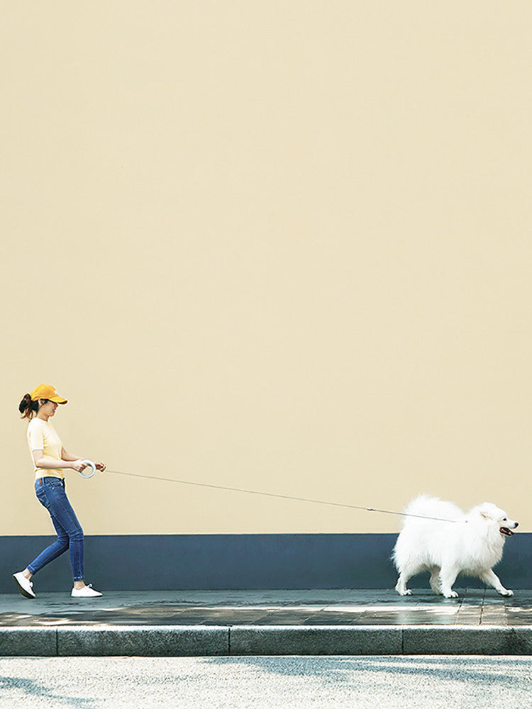 Meng UFO Retractable Leash Dog