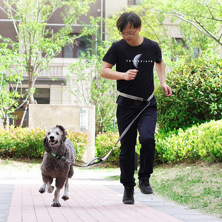 1.8m Long Dog Leash Traction Running
