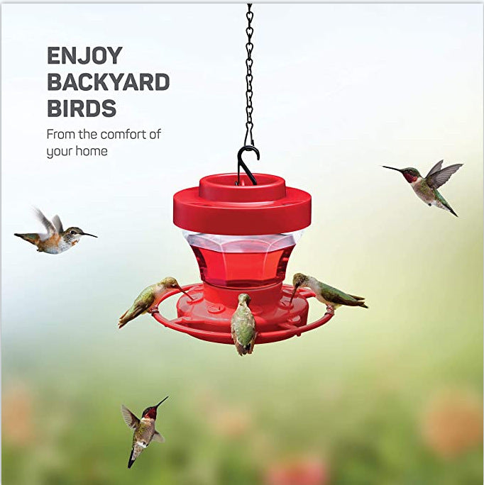 Feeder Bird Water Drinker Feeder Waterer