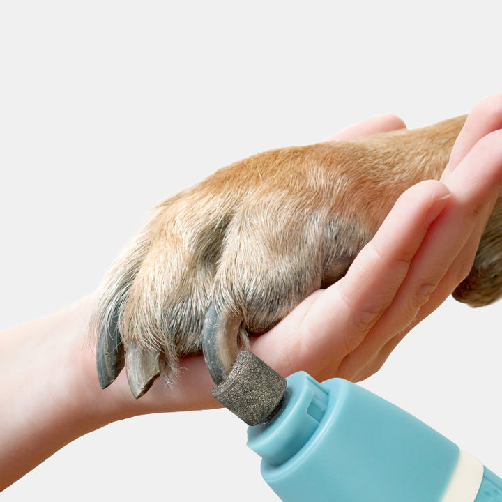 Pet Nail Polisher Household Pets