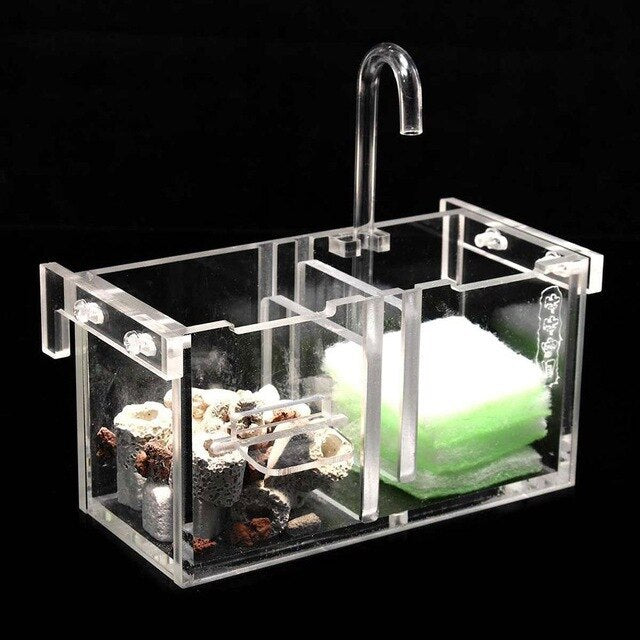 Put The Wet Filter Box Fish Tank