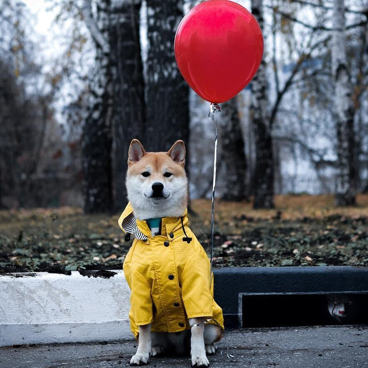 Dog Raincoat Pet Clothes Dog Clothes