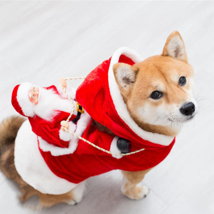 Fashion Christmas Clothes