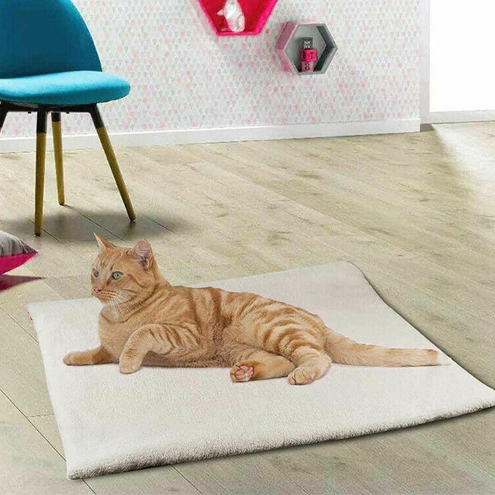 Electric Heating Blanket For Pets
