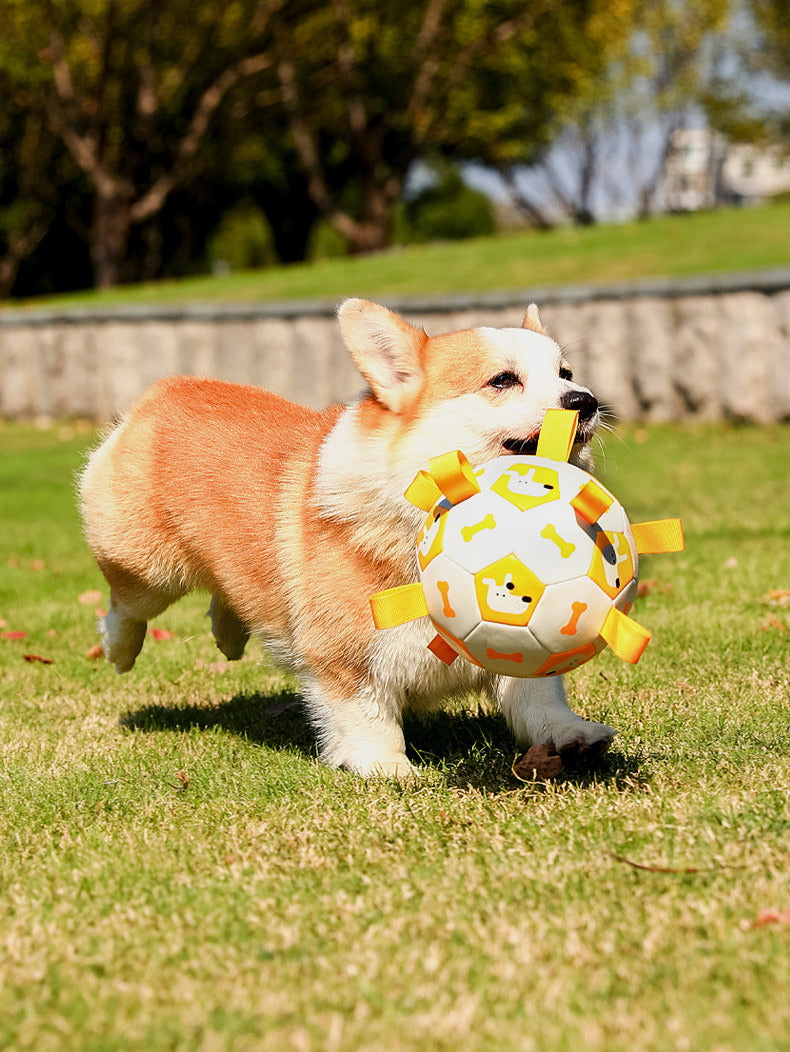 Pet Interactive Football Dog Outdoor Toy