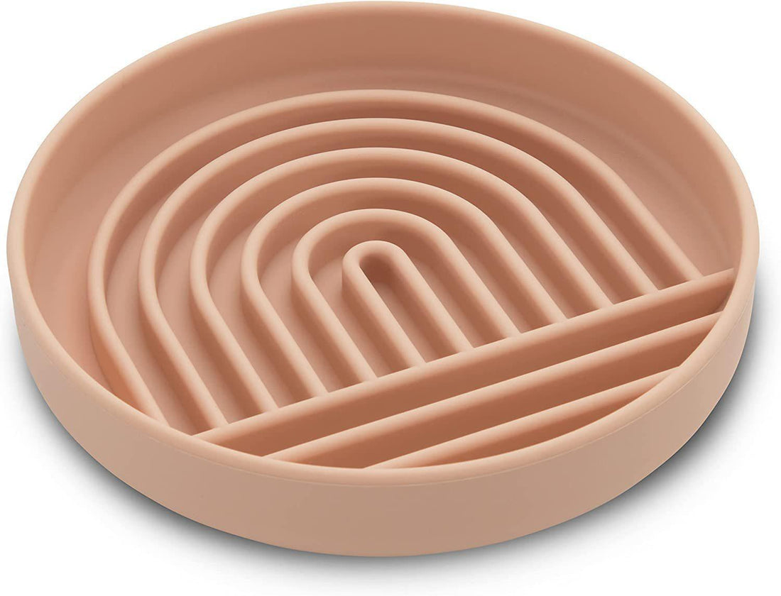 Fashion Simple Slow Feeding Bowl