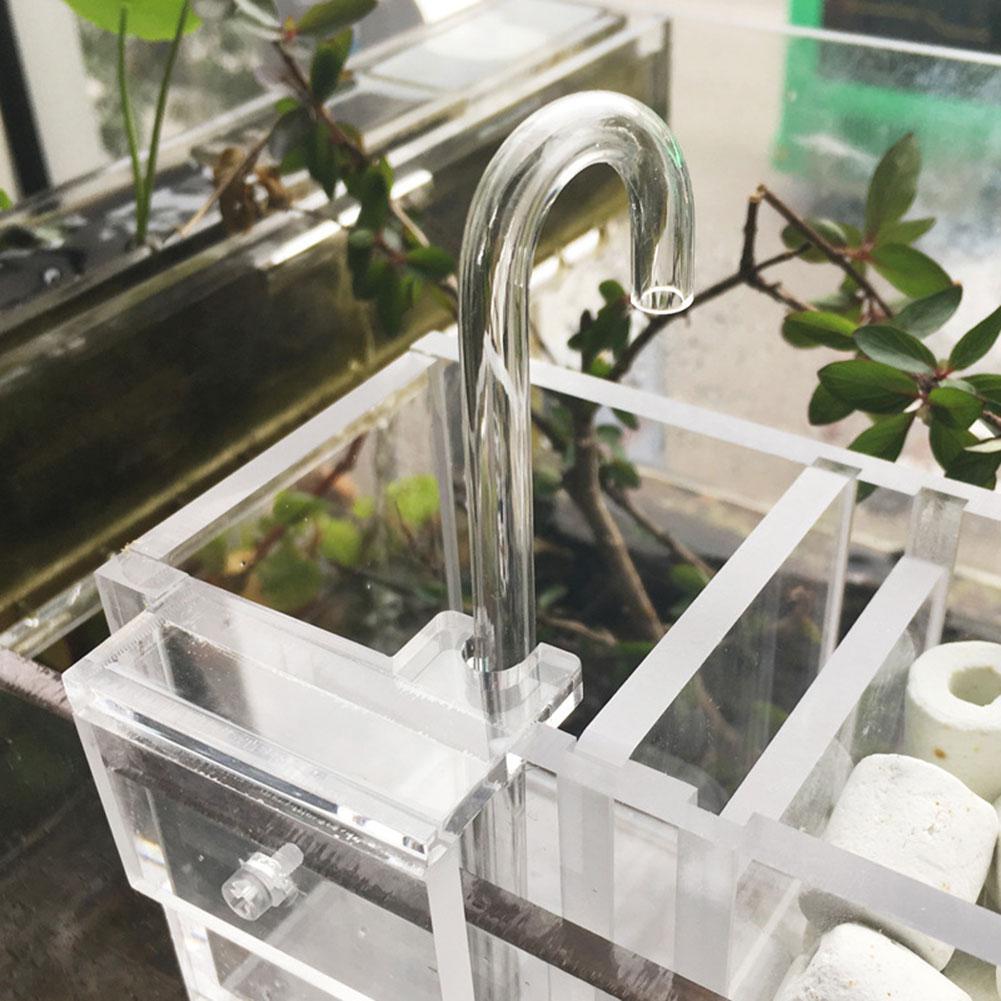 Put The Wet Filter Box Fish Tank