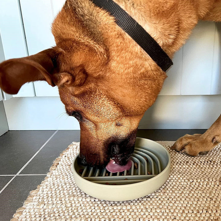 Fashion Simple Slow Feeding Bowl