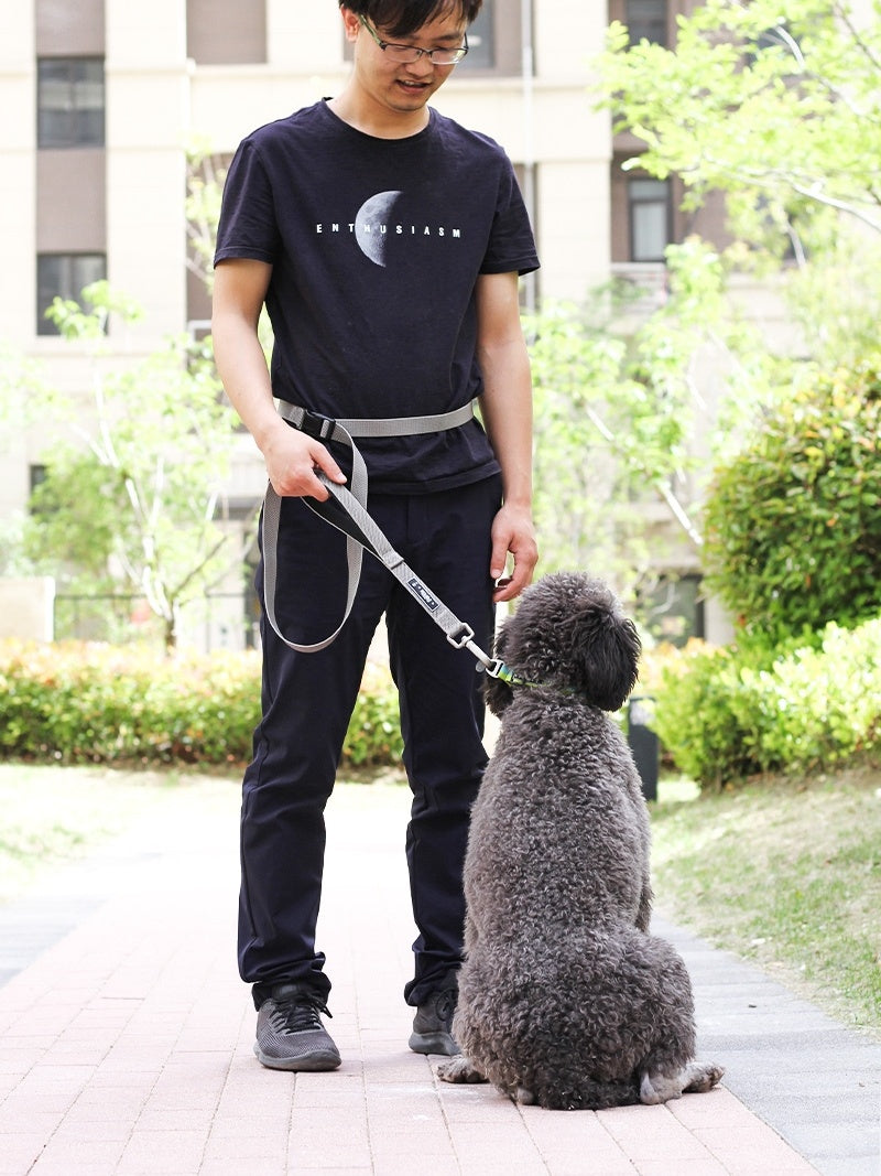 1.8m Long Dog Leash Traction Running
