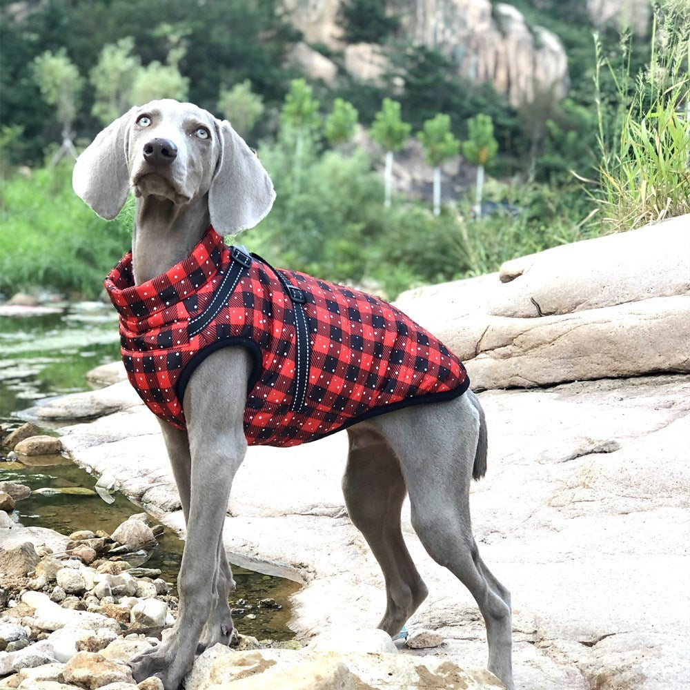 New Pet Reflective Cotton-padded Coat