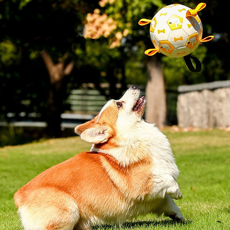 Pet Interactive Football Dog Outdoor Toy