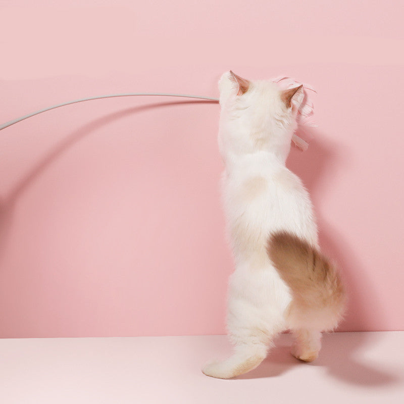 Creativity Feather Funny Cat Toy