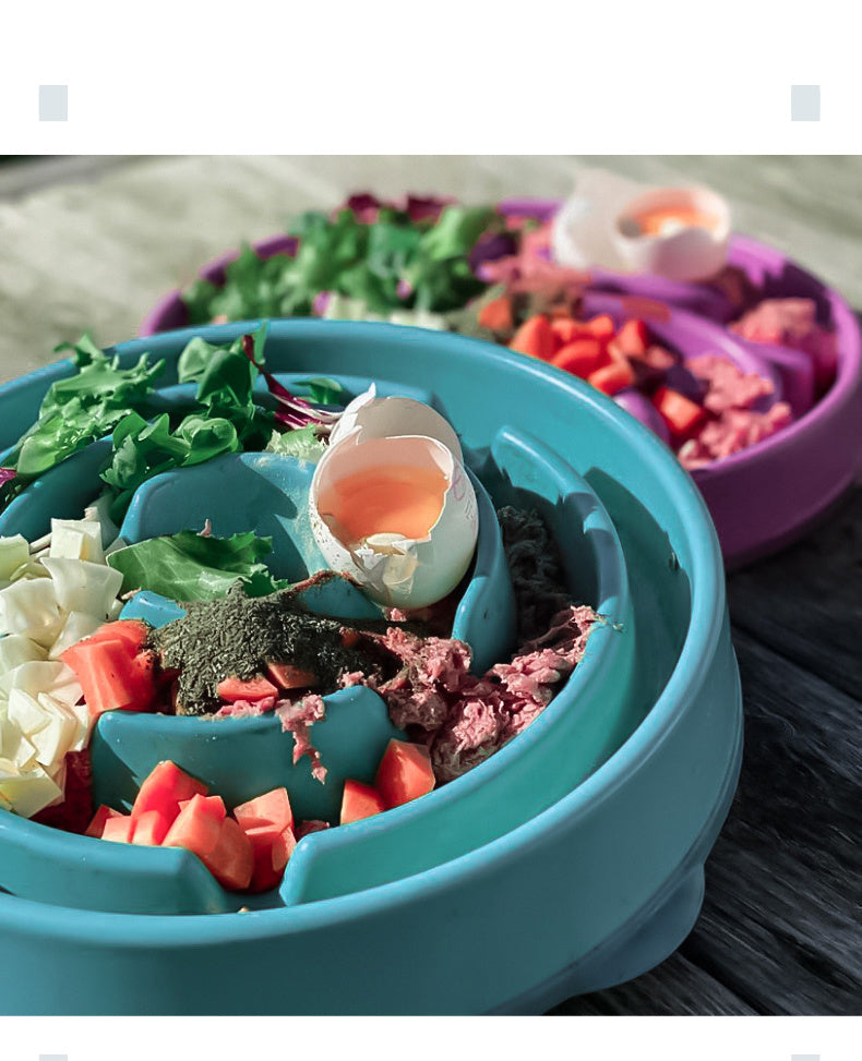 Slow Feeding Bowl Anti-choke